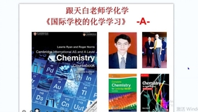管家婆一碼一肖必開,科學基礎解析說明_AP38.129